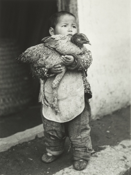 Boy with Chicken, Hungjao, China