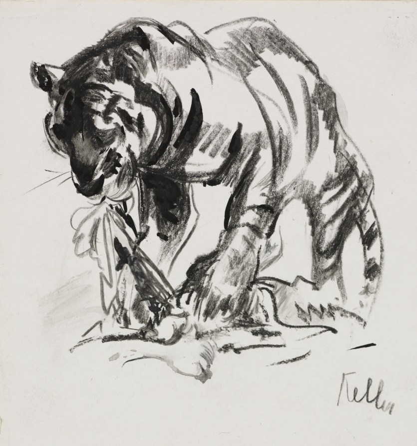Tiger Feeding, Henry Keller, c. 1891–1946