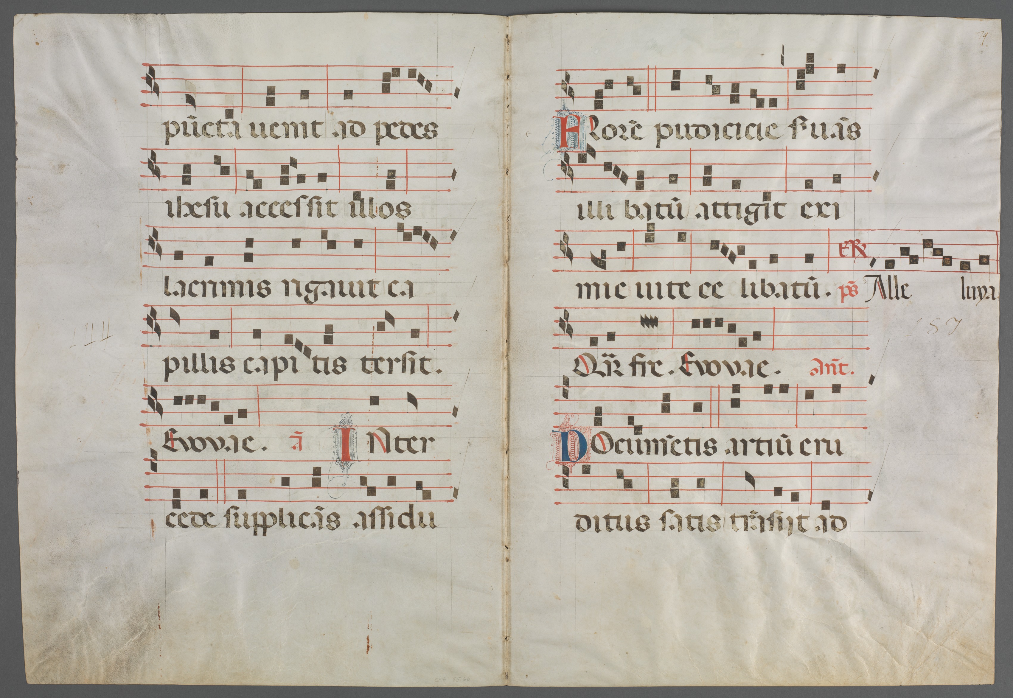 Bifolium from an Antiphonary: Music