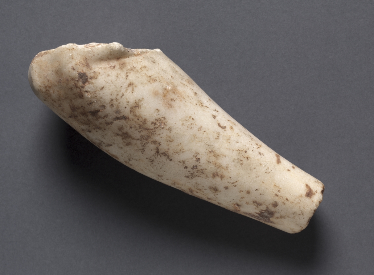 Fragment sent with "Dancing Lady": Small Section of a Forearm