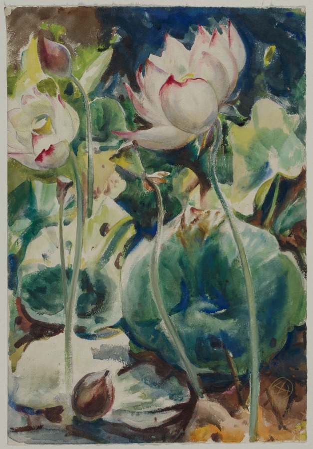 Pink Tipped Lotus, Henry Keller, c. 1934