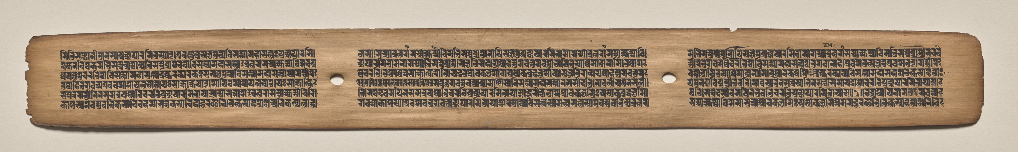 Text, folio 155 (recto), from a Manuscript of the Perfection of Wisdom in Eight Thousand Lines (Ashtasahasrika Prajnaparamita-sutra)