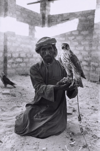 Portrait of Falconer, Dubai