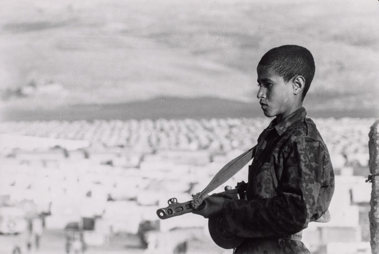 Children Revolutionaries: Boy Holding Gun with City in the Background, Palestine