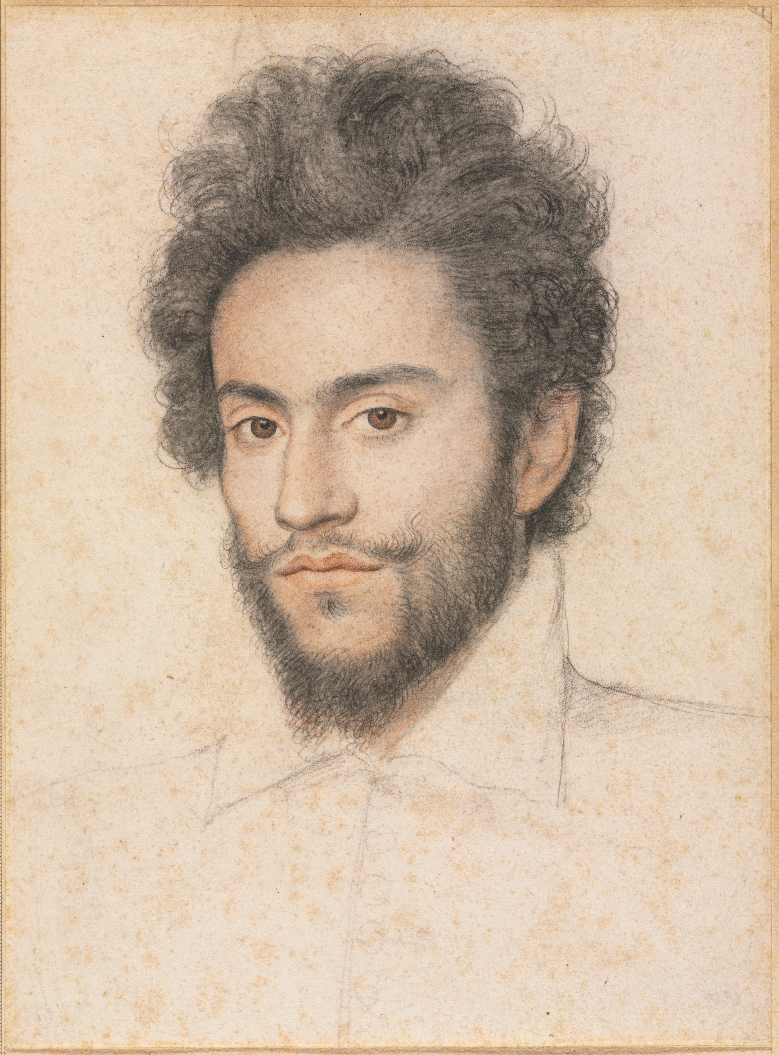 Young Man with a Beard