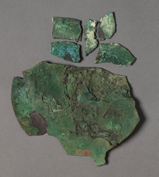 Fragment of a Mirror Disk