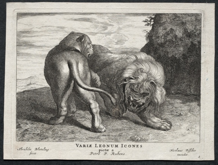 Various Lions