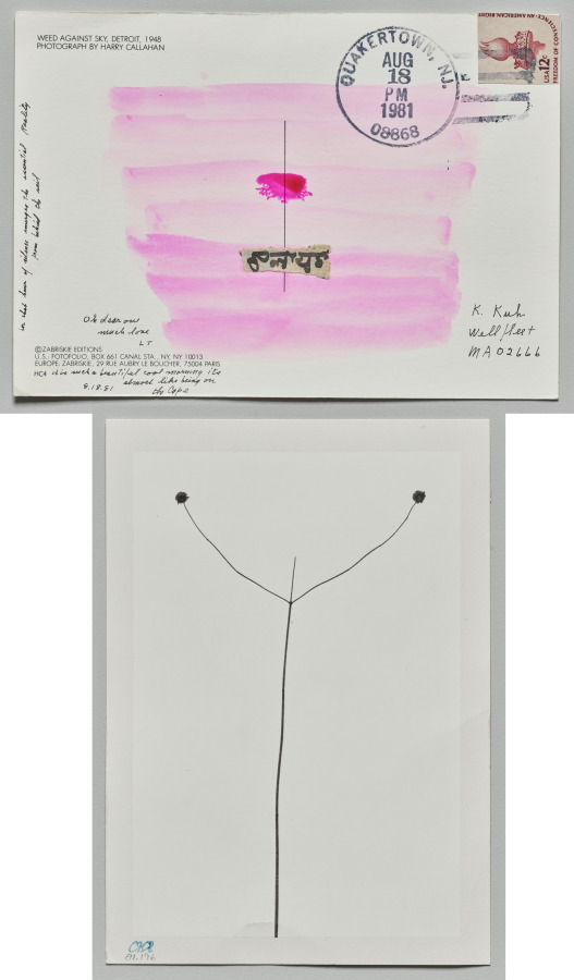 Weed, Lenore Tawney, 1981