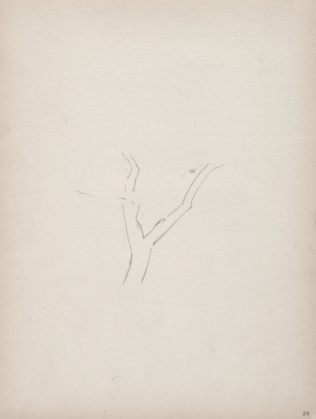 Sketchbook No. 3, page 29: Tree