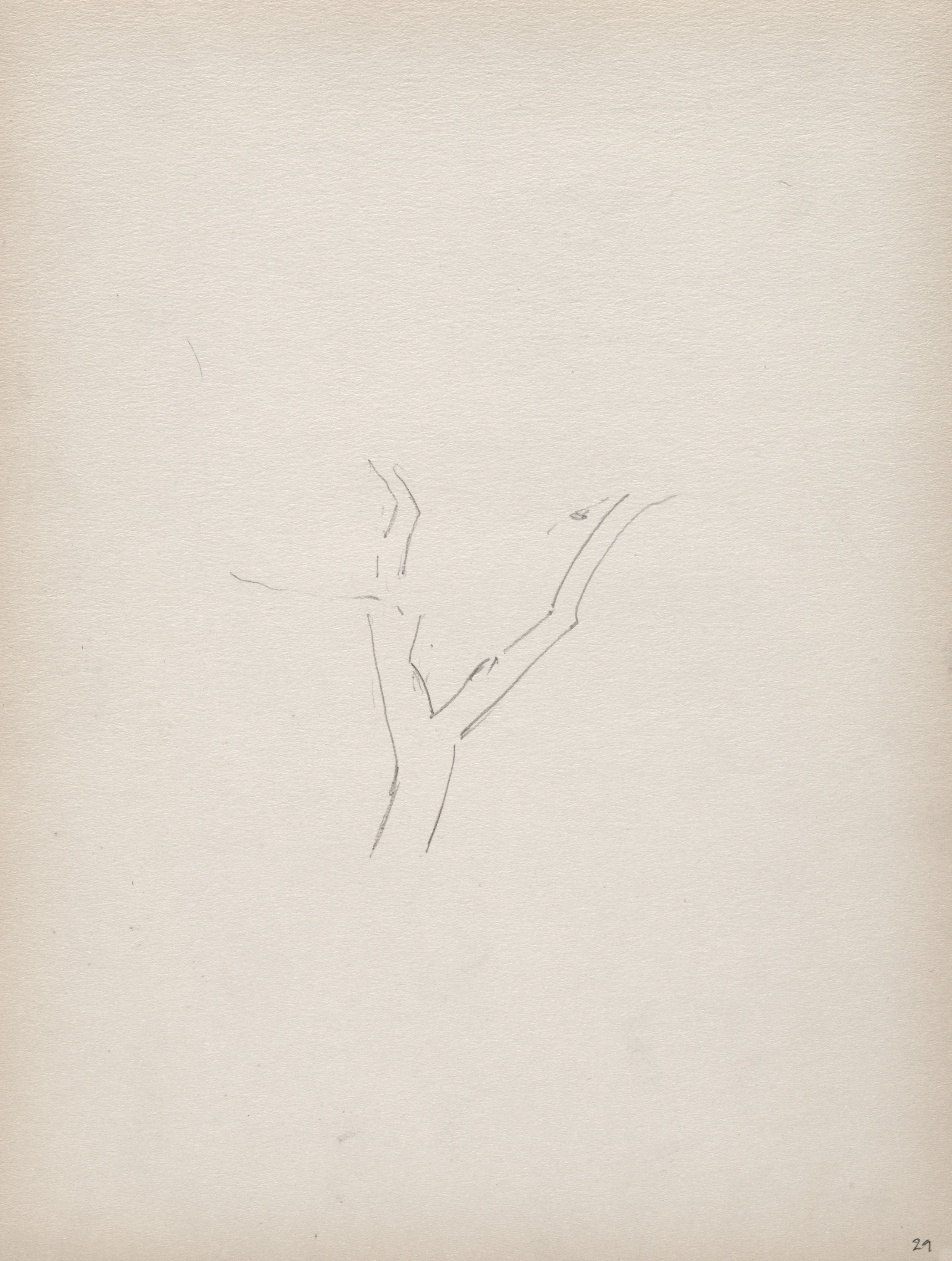 Sketchbook No. 3, page 29: Tree