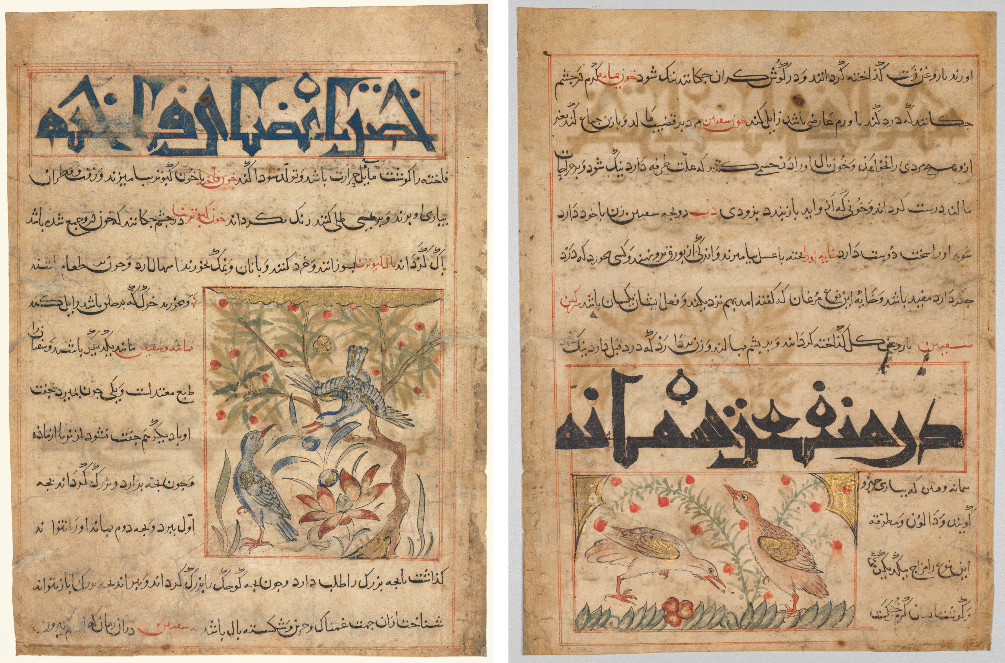 Qualities of Ringdoves (recto); On the Benefits of Quails (verso), from a Persian Manafi‘ al-Hayawan (The Benefits of Animals) of Abu Said Ubaid-Allah ibn Jibrail ibn Bakhtishu (died 1058–68)