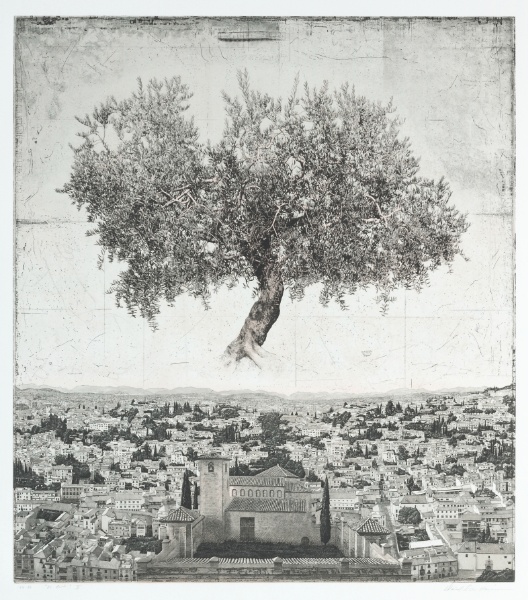 Olive Tree II