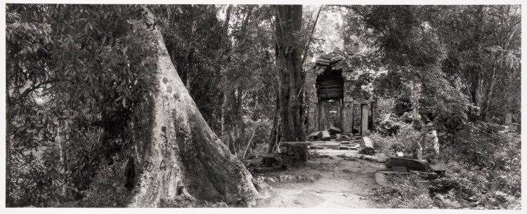 Angkor Wat (path by banyan)