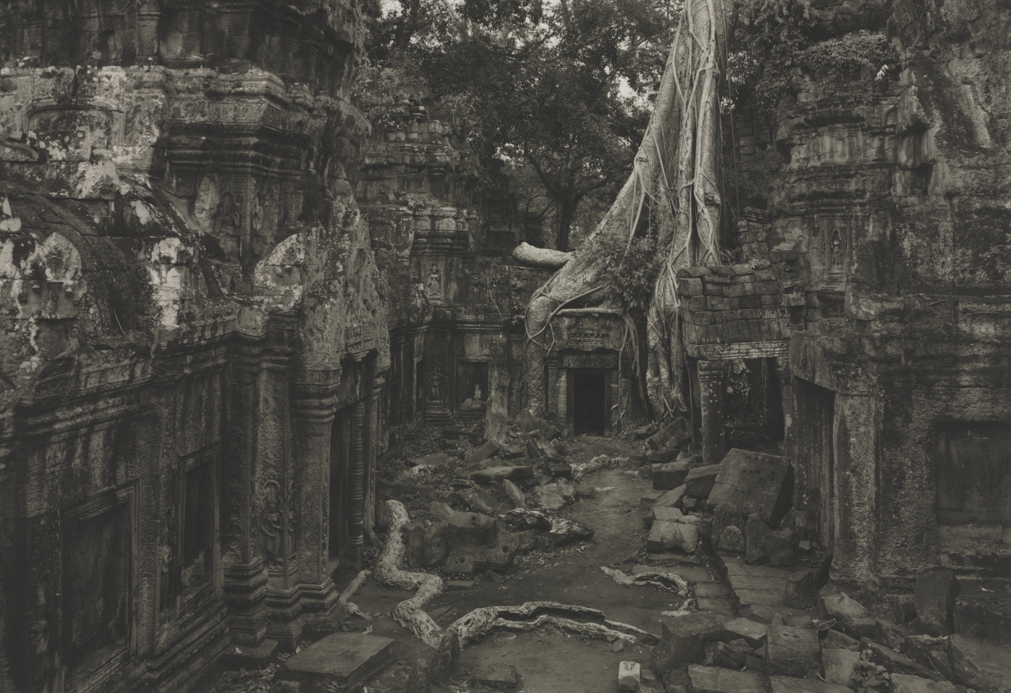 Angkor #71, Ta Prohm