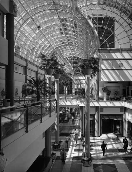 Palm Courts, The Galleria at Erieview