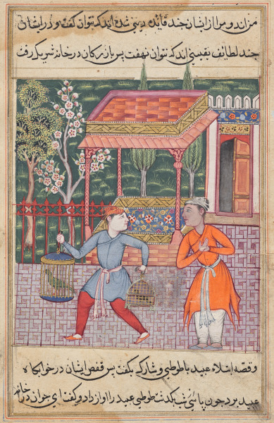 The merchant of Tirmiz takes the wise parrot and myna to ‘Ubaid, from a Tuti-nama (Tales of a Parrot): Forty-second Night