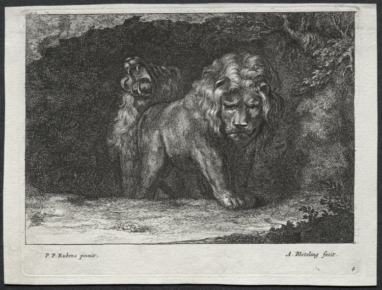 Various Lions