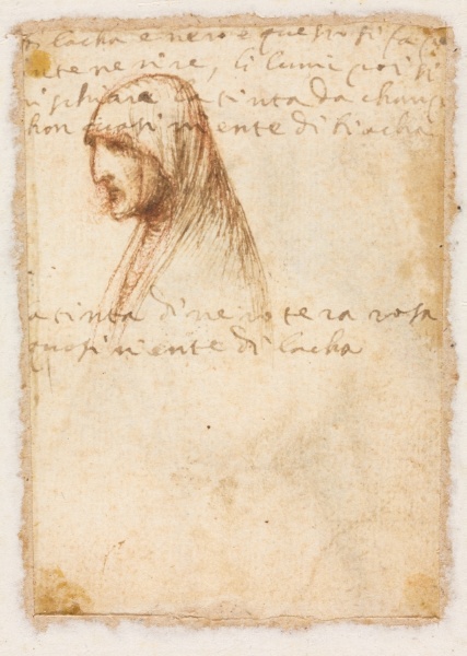 Bust-Length Profile of an Old Woman (verso)