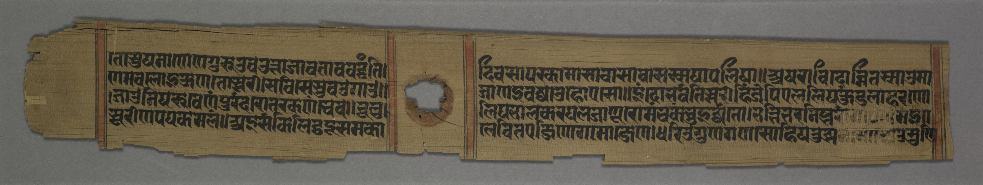 Folio (recto) from a Kalpa-sutra and Story of Kalakacharya of Devachandra: Text