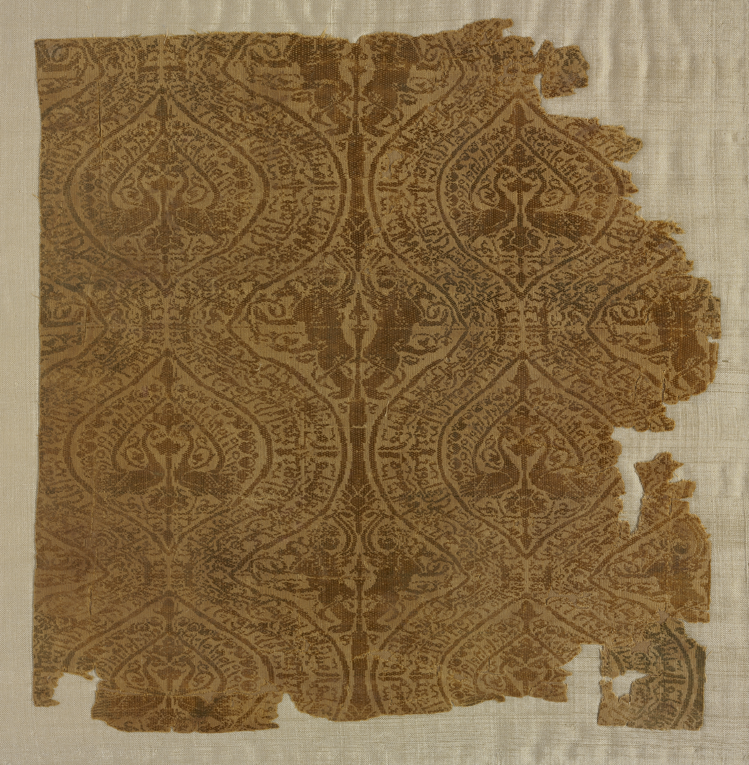 Fragment with peacocks in ogival pattern