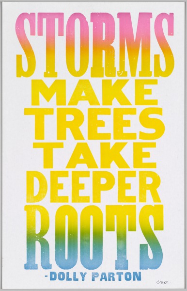 The Bad Air Smelled of Roses: Storms Make Trees Take Deeper Roots