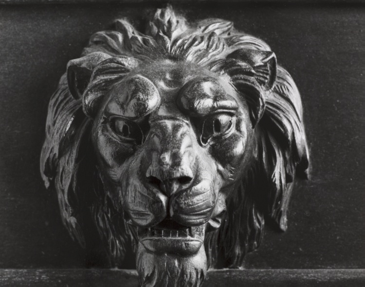 The Lion, from the Rowfant Club Photographs