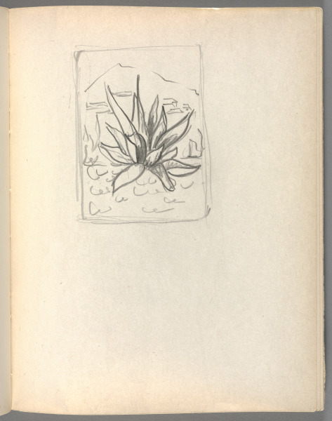 Sketchbook No. 6, page 123: Pencil sketch of cactus and hill in borderline