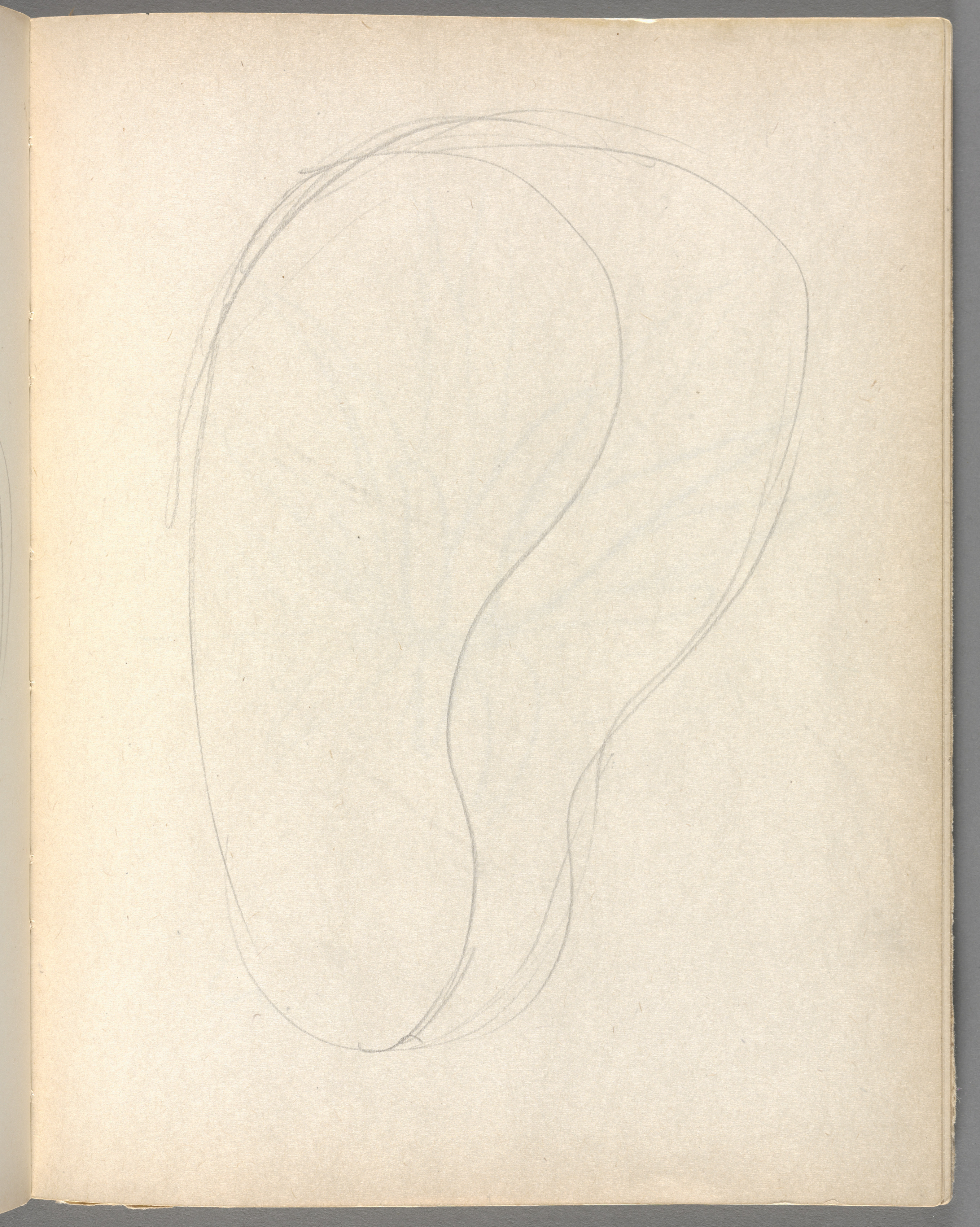 Sketchbook No. 6, page 119: Pencil two ovoid forms