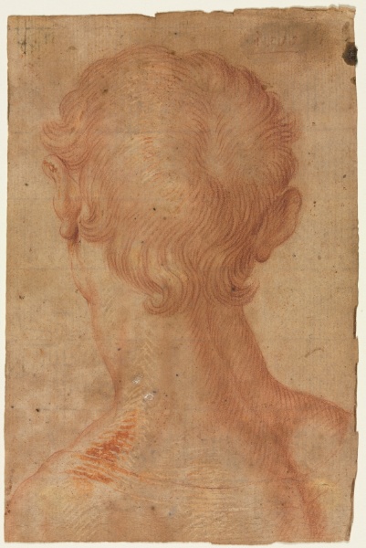 Man's Head from the Back