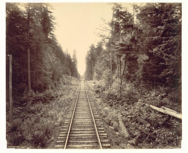 Hemlock Forest, Lehigh Valley Railroad