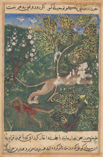 The lion, suspecting treachery on the part of the monkey, slays him and flees, from a Tuti-nama (Tales of a Parrot): Twenty-ninth Night