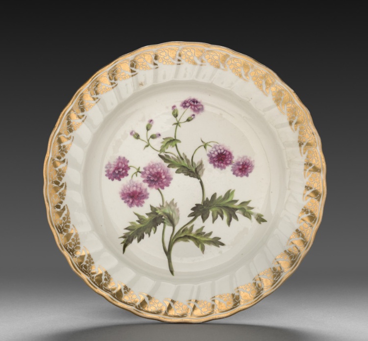 Plate from Dessert Service: Double Groundsell or Ragwort